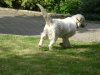 DSC00807.jpg