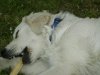 DSC00837.jpg