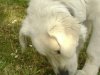 DSC00810.jpg