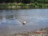 DSC03195.jpg