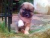 Picture(44)_edited.jpg