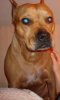 DSC00256.jpg