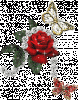 186495bna73841p9.gif