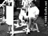 LVSeatedHipAdduction.gif