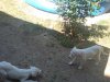 DSC00233.jpg