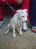 DSCN2251.jpg