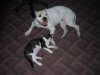 DSCN1356.jpg