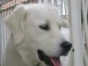 DSC01184.jpg