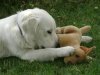 DSC01218.jpg