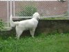 DSC01188.jpg