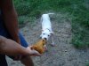 DSC05785.jpg