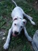 DSC05797.jpg
