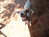 DSC05914.jpg