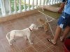 DSC05920.jpg