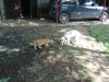 DSC05891.jpg