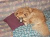 DSCN8031.JPG