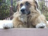 DSCN8546.JPG
