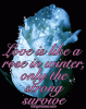 9_flowers_002love-likap.gif