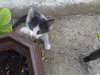 27082008191.jpg