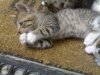 27082008183.jpg