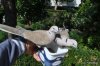 DSC_0794.jpg