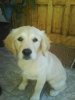 DSC00185.jpg