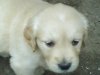 DSC00314.JPG