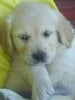 DSC00323.jpg