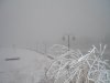 DSC04014_640x480.jpg