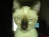 dsc00998_1.jpg