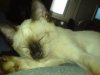 dsc01018_resize.jpg