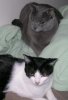 DSCN7233.jpg