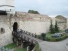 DSC04563.jpg