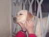DSC00286.jpg