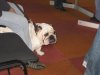 IMG_1953.jpg