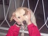 DSC00291.jpg