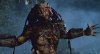 predator-1.jpg