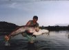 39kg.031.jpg