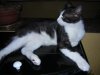 DSCN1365.jpg