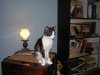 DSCN1370.jpg