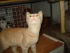 DSC00032_resize.JPG
