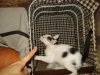 DSC07717_resize.JPG