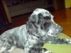 DSC01305.jpg