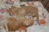 DSC_1657.jpg