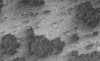 mars-suma-x.jpg
