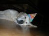 DSCN3462.jpg