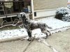 DSC01533.jpg