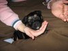 Picture 055.jpg