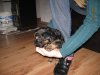 Picture 050.jpg