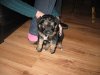 Picture 049.jpg